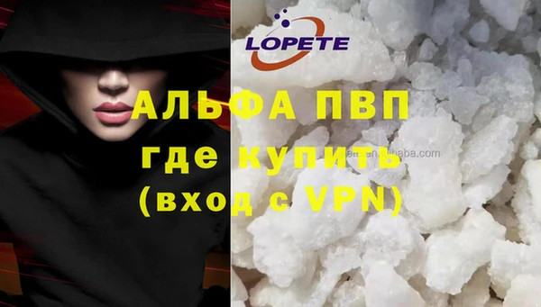 ECSTASY Каменногорск